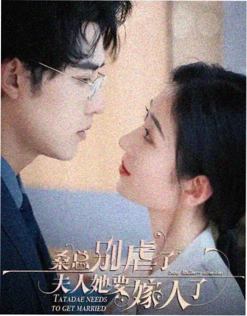 雾港笔记 网站免费在线观看剧集海报