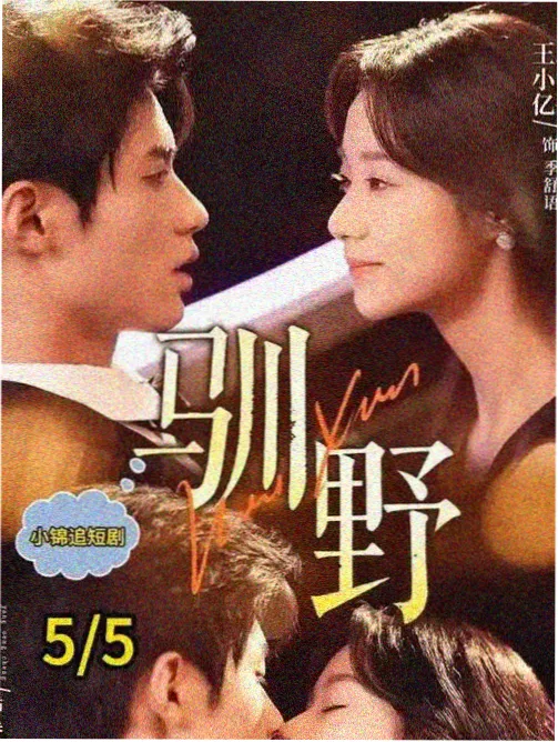 十二楼的春天 网站免费剧集海报