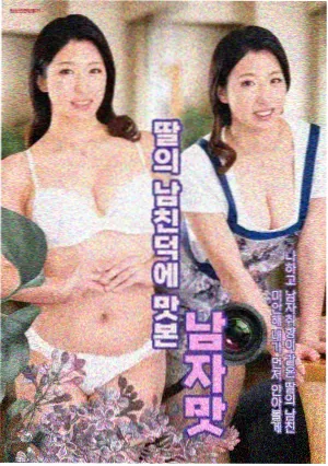 深巷灯影 网站免费看剧海报